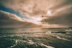 dramatic view of the ocean water and cloudy sky