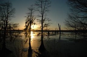 dark sunset above swamp, usa, louisiana, bayou