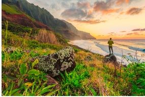 view of pacific ocean in hawaii