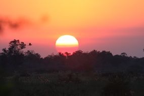 sunset above bush, africa