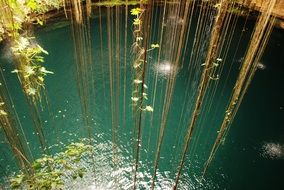 jungle water
