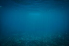 diving underwater