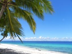 white sandy tropical beach in philippines