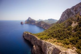 Beautiful landscape with the plants on the cliffs on the coast