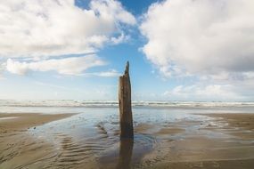 landscape of sand and water on the beach