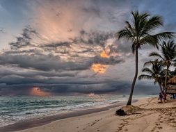 tropical beach with palm trees at sunrise