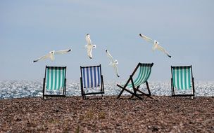 deckchairs on beach and seagulls above water