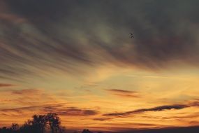 magnificent orange sunset