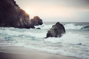 wild coast