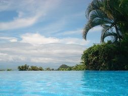 View from turquoise sea water to palm trees