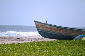 boat on the water near the green shore