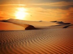 sunset sand landscape