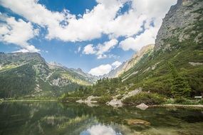 wild mountain lake in the summer