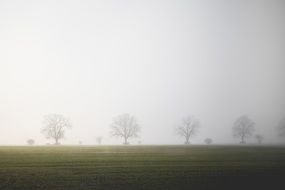 fog above the field