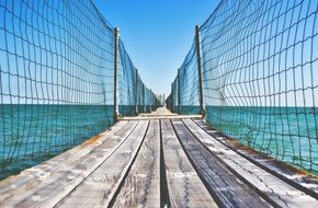 delightful wood bridge