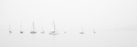 white sailing boats in ocean