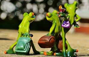 travelling funny frogs