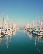 Lots of boats in the harbor