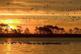 sunset in Chincoteague