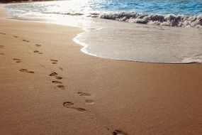 footprints on the sand beach ocean water