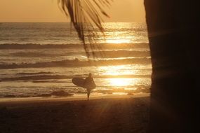 surfer on the beach at sunset