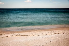 sandy shore