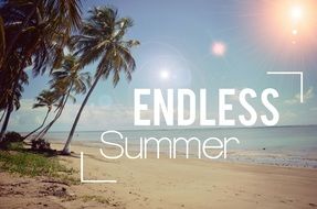 endless summer poster drawing