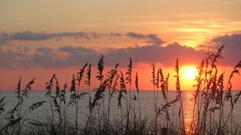beach landscape and the sunset