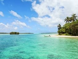 coast of paradise island on a sunny day