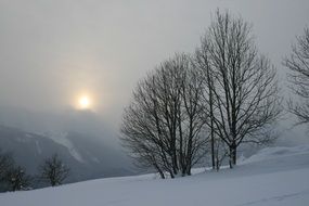 winter sunset