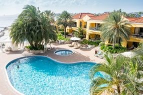 resort tropical pool in palm trees