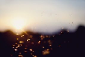 summer sunset in bokeh