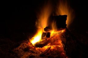 bonfire with wood in the dark