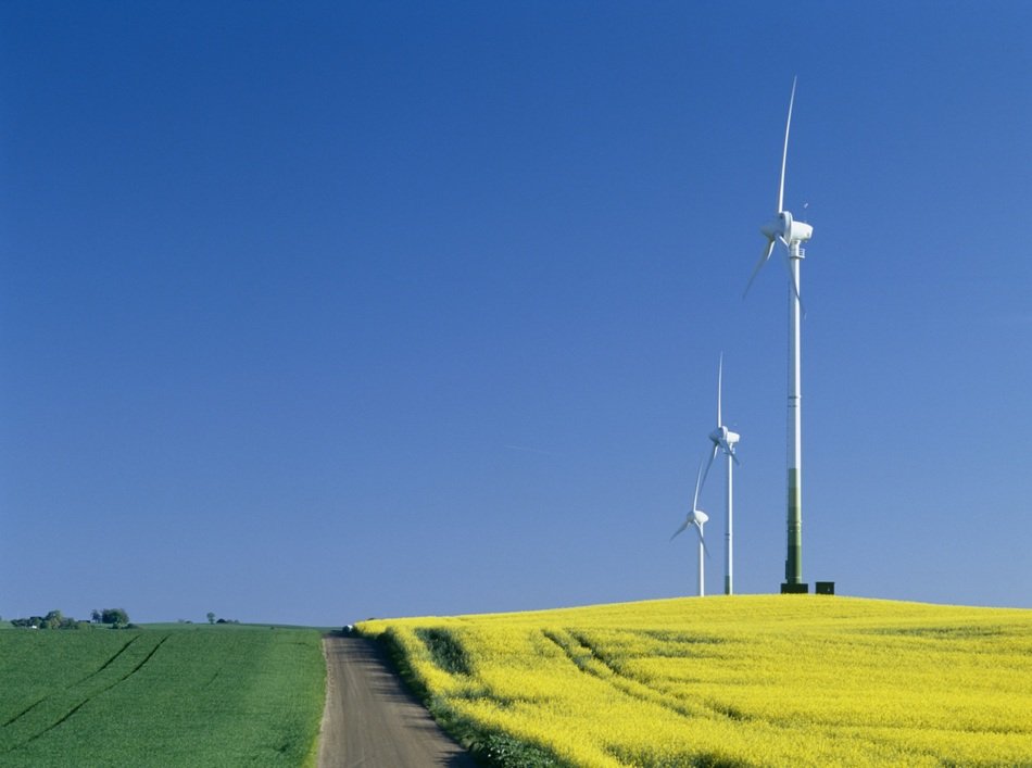 WInd turbines in summer