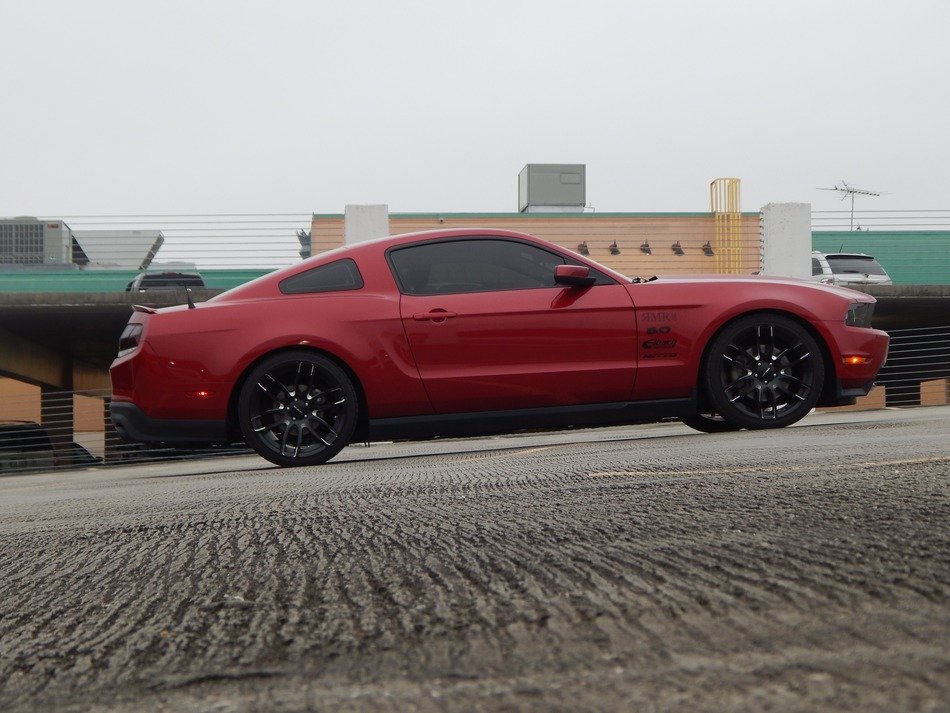 Mustang on the road