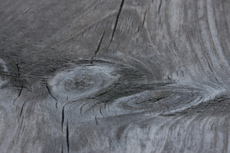 patterns on the tree closeup