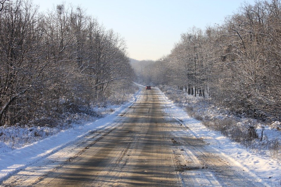 Winter road among the forest