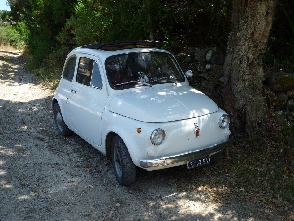 white mini fiat