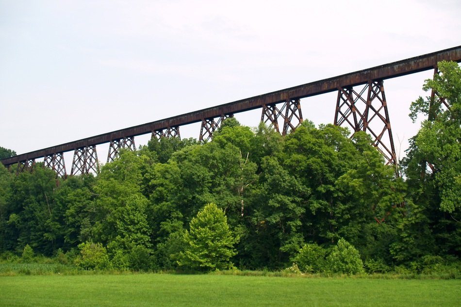 Viaduct in the forest