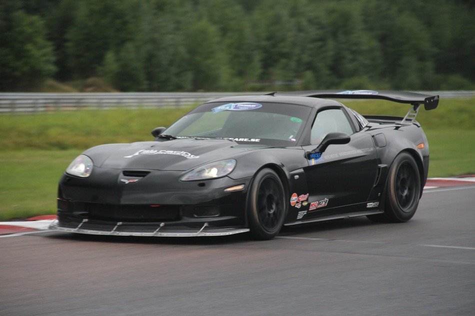 Black speed car on the show among the plants
