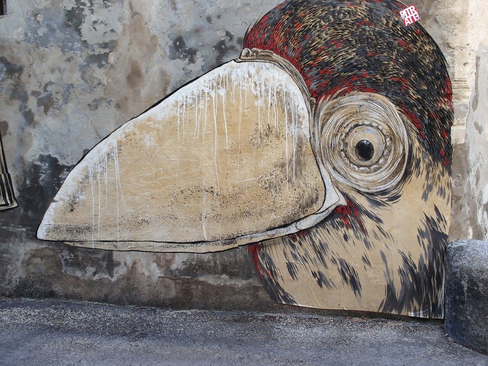 bird like graffiti along the road