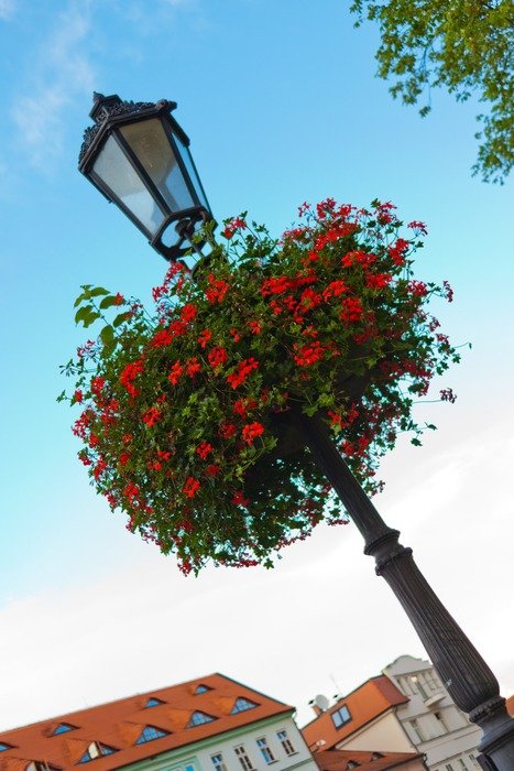 beautiful colorful basket with flower