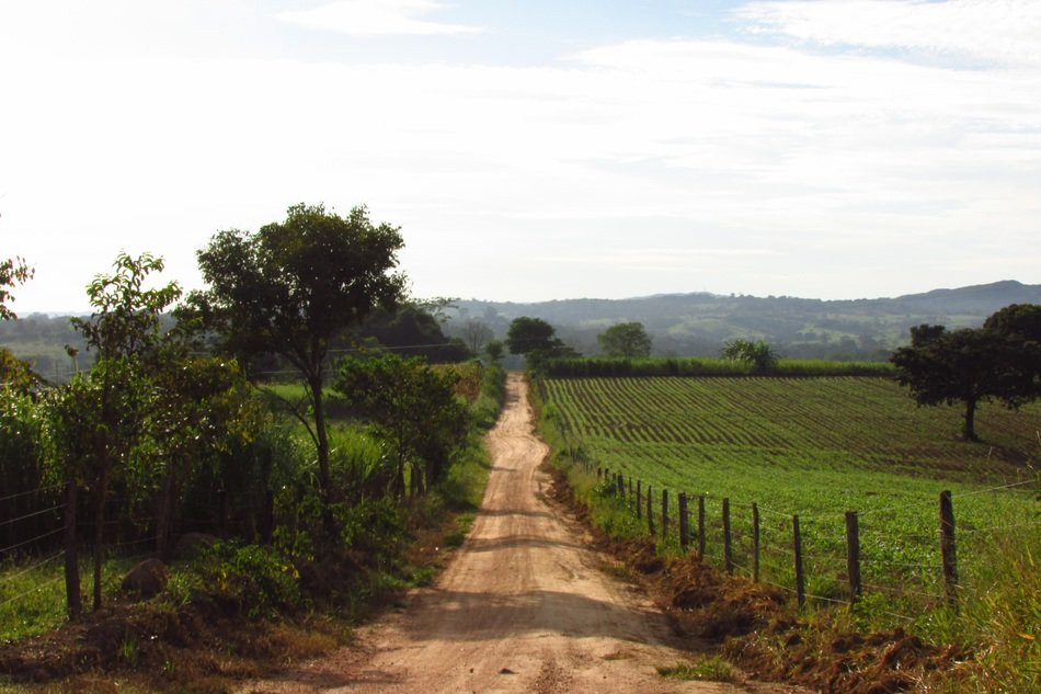 goias velho state