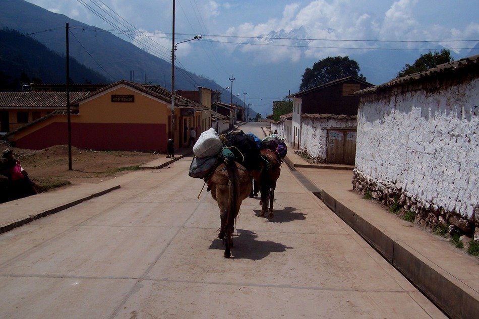 A horse carries a load on the road to Peru