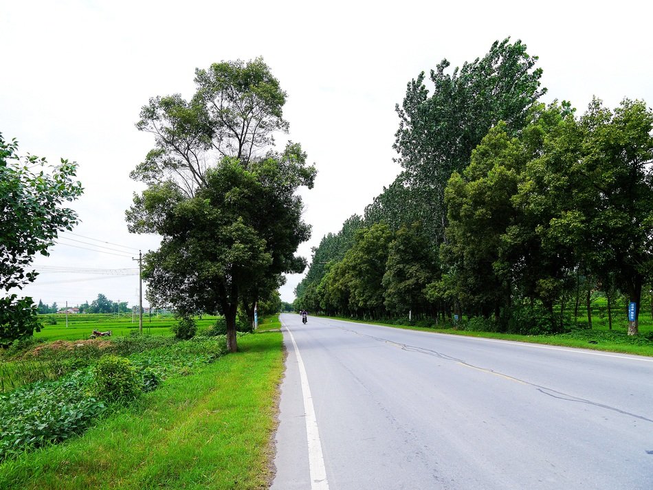 lonely motorcyclist on the road