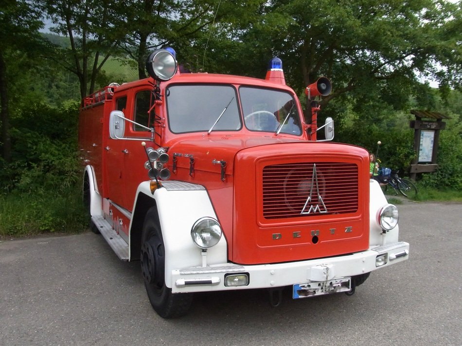 fire truck near the forest