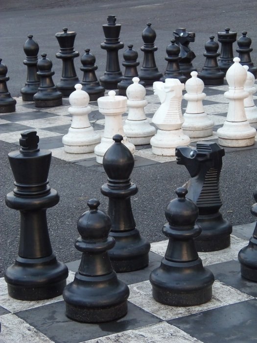park chess set