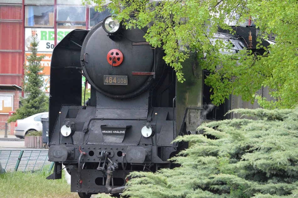 steam locomotive near green trees