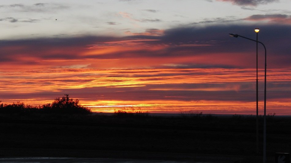 street lights on a background of orange sunrise