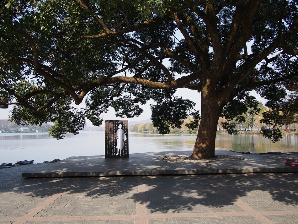 modern art, woman silhouette beneath tree in park at water